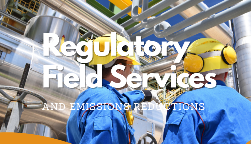 regulatory field services